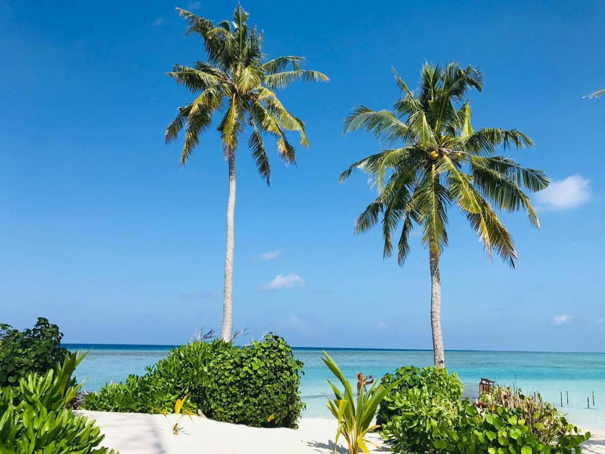 Malas Island View Fulidhoo Zewnętrze zdjęcie