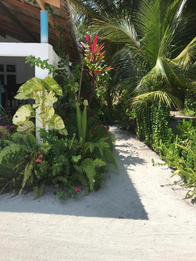 Malas Island View Fulidhoo Zewnętrze zdjęcie