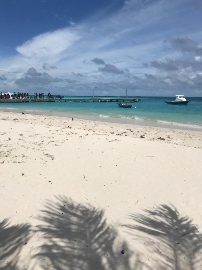 Malas Island View Fulidhoo Zewnętrze zdjęcie