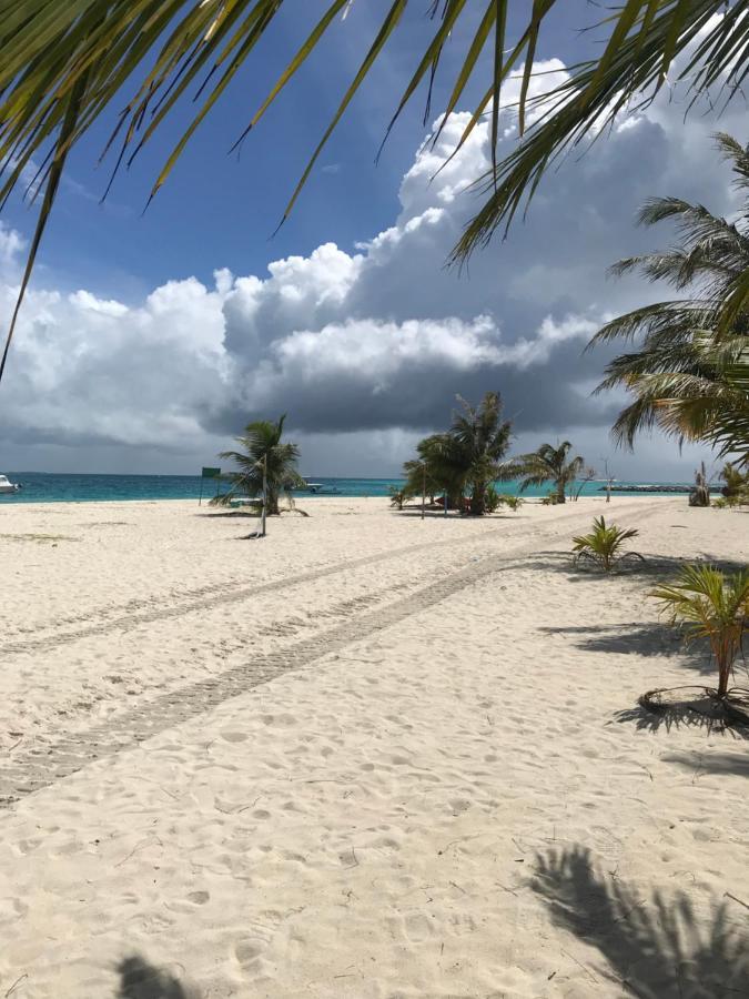 Malas Island View Fulidhoo Zewnętrze zdjęcie