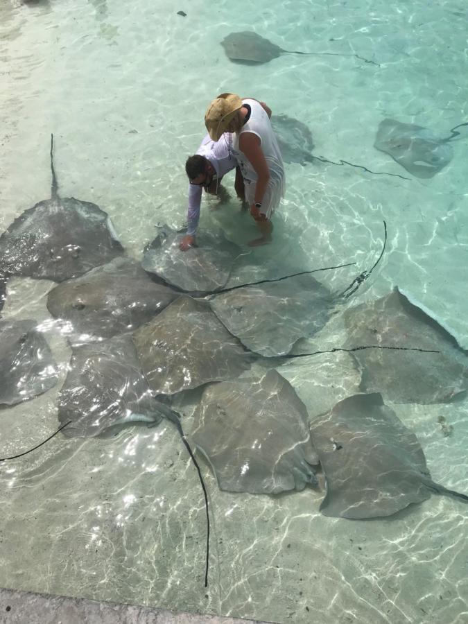 Malas Island View Fulidhoo Zewnętrze zdjęcie