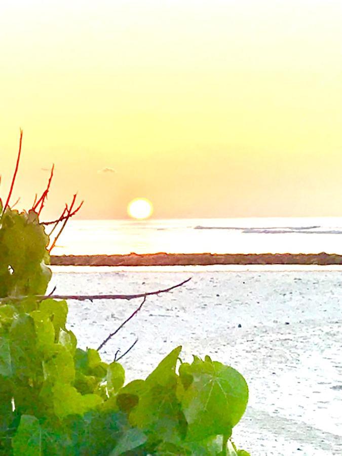 Malas Island View Fulidhoo Zewnętrze zdjęcie