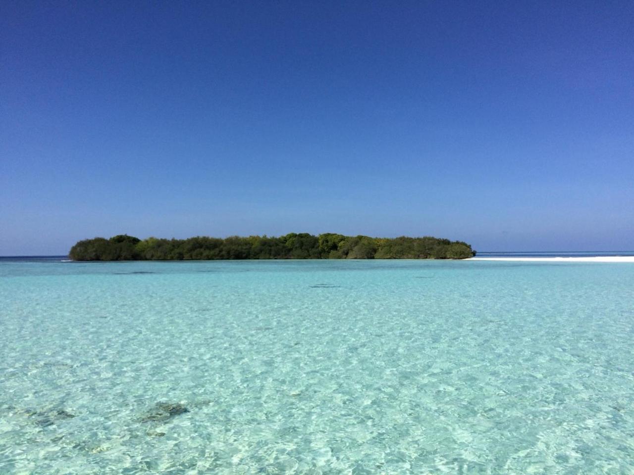 Malas Island View Fulidhoo Zewnętrze zdjęcie
