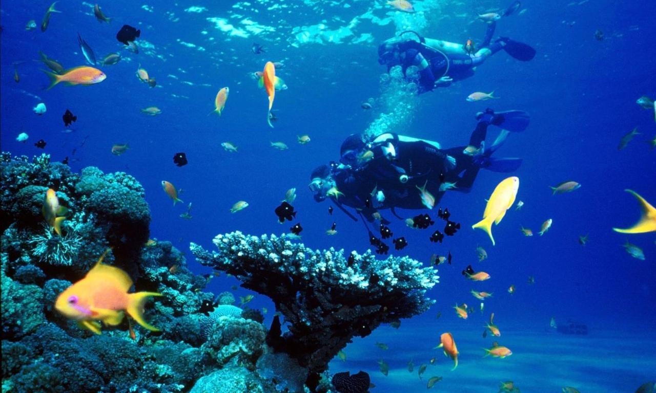Malas Island View Fulidhoo Zewnętrze zdjęcie